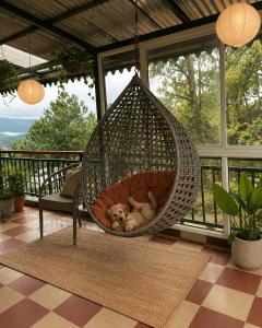 The White Magnolia Villa Kasauli