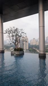 1BR Luxury Fourwinds Apartment by Room Available