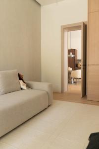 Golden dunes Auksinės kopos luxury apartment in Nida