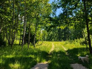 Brezna Base Camp & Retreat