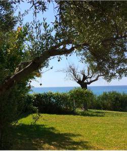 House BEACHFRONT Chalkidiki