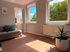 Apartament z Widokiem na Kasztanowce