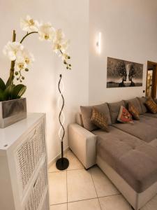 Apartment - Little Paradise