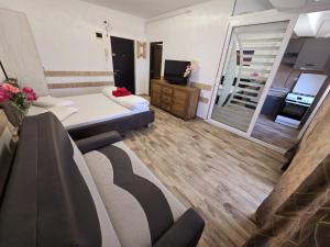 Sea Vibes Studio Mackerel langa plaja