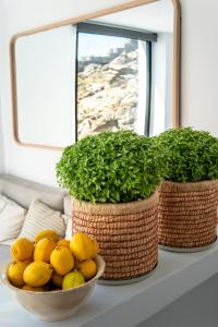 Villa Xýlo Tinos Private Pool & Sea View
