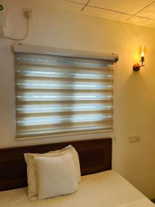 Day light villa