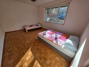 Large Flats, Zurich City Center - SCHD