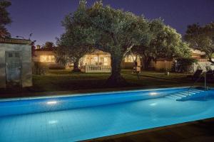 Villa with great garden and pool