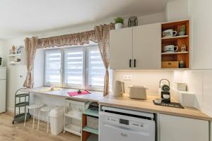 Apartmán Železná 9