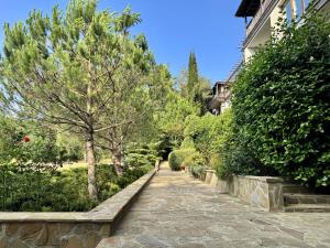 Tervel & Marcela Apartments