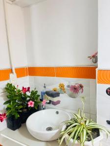 Villa Roncal, departamento moderno elegante e ideal