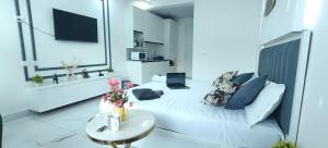 White Suite Studio Noida Extension Greater Noida West