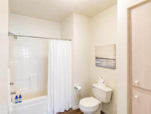 SPECIAL OFFER - Modern Apartment in La Jolla UTC with Free Parking - Close to Beaches, Shopping, Dining, UCSD