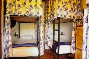 Tribu Hostal