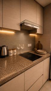 Cozy Luxury Studio Auriquestay
