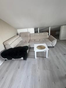 Apartament na poddaszu