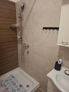 Central Lux Apartment