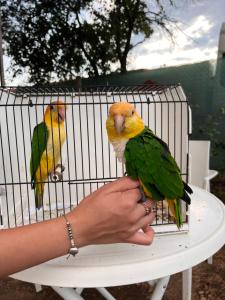 Zoofarma Penzion Konírna