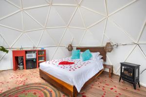 Glamping-Zingo