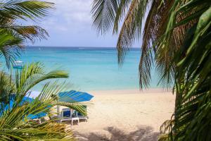 Beachfront apt on stunning paynes bay - Bora Upper