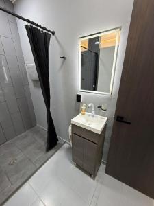 Loft La Americana 103