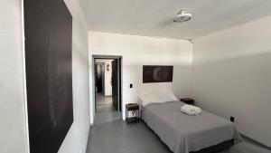 Loft La Americana 102