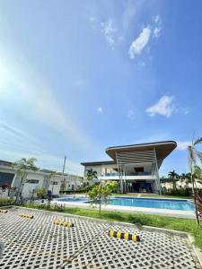 Diamond Hyacinth near Sta Lucia Mall and Airport