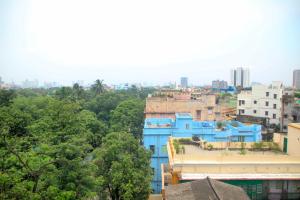 Rooftop Cabin & garden in a sea of Greenery- Owls Nest 1