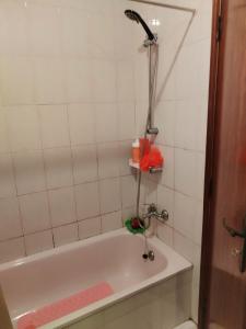 Quarto 2 viseu