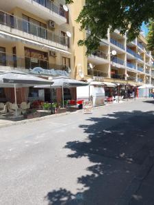 Studio vigo