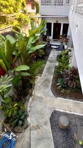 Ground Floor The Lima Guesthouse Canggu