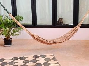 The Boutique Homestay