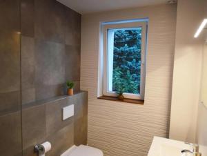 Ewilla- apartamenty Wojcieszyce