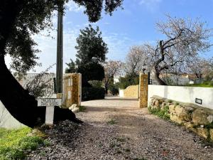 Villa Monte das Uvas
