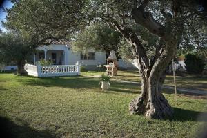 Villa with great garden and pool