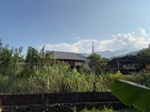 Sao La Homestay & Wine Bar