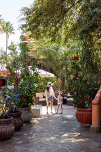 Collection O Casa Bella Hotel Boutique, Cabo San Lucas