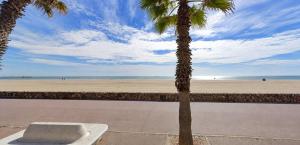 Appart Bord de plage - 1CH - 4pers