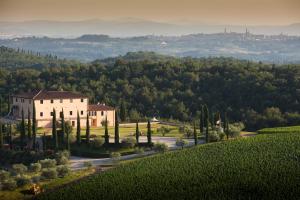 Tolaini Winery Suites