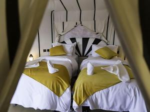 Sahara Horizon Camp