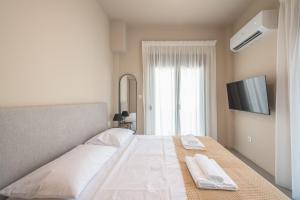 Comfort One Bedroom Apartment
