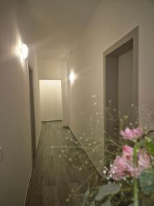 Salomon guesthouse