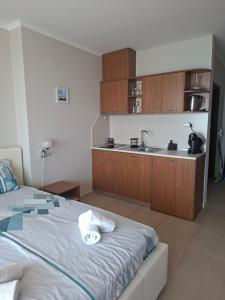 Studio Akrotiria Sea View Nesebar