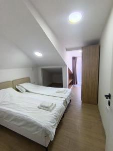 Travel Hub Hostel Central
