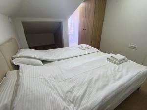 Travel Hub Hostel Central