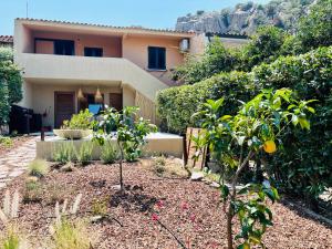Newly Renovated Apartment, Garden & 3 Parking Spots - Porto Cervo 7 min