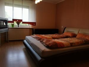 Apartment in Popielów