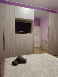Bright and cozy apartment in Busto Arsizio