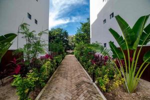 3BR Oasis: Poolside, Gym, Near Beach & Xcaret