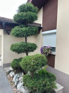 B&B Zemko
